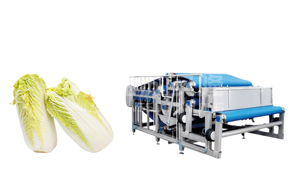 白菜带式榴莲视频下载安装